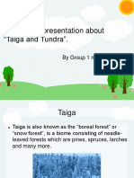 Geography Taiga and Tundra