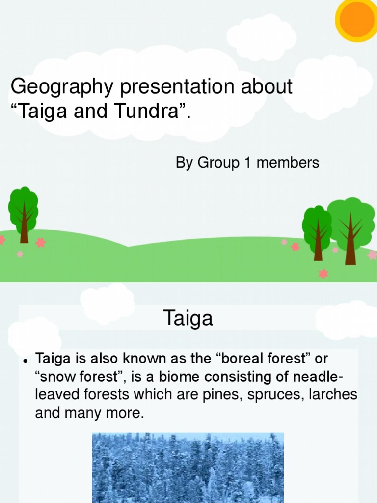 Geography Taiga and Tundra | PDF | Ecology | Nature