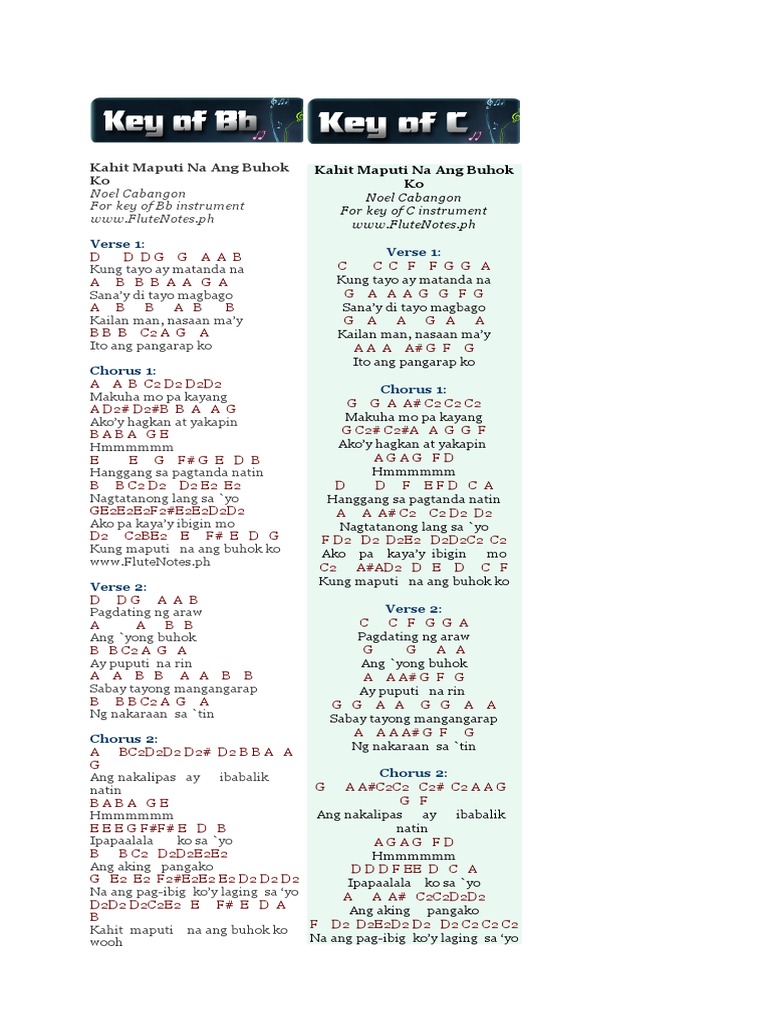 Flute Notes | PDF