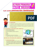 La Contaminación Ambiental para Quinto de Primaria