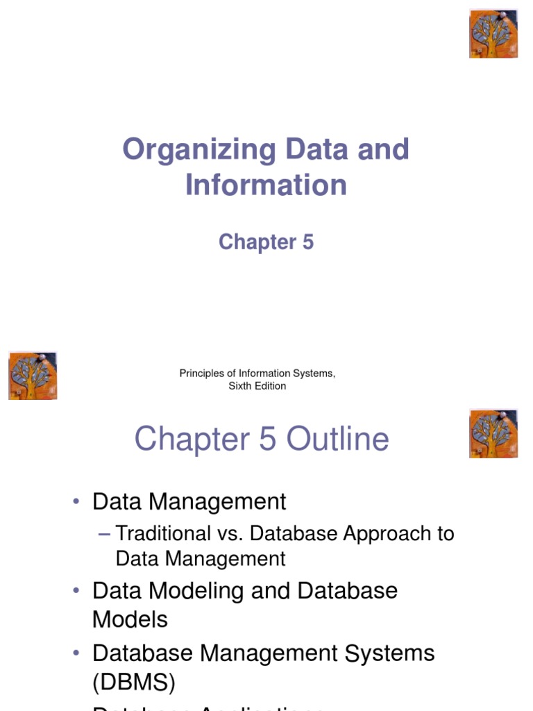 Data Management in Information Systems | PDF | Data Model | Databases