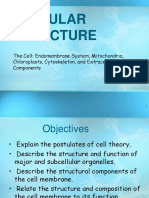 Cellular Structure: The Cell: Endomembrane System, Mitochondria, Chloroplasts, Cytoskeleton, and Extracellular Components