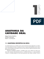 anatomia da boca.pdf