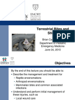 Terrestrial Bites and Stings: Brian Costello, MD Department of Pediatric Emergency Medicine June 24, 2010