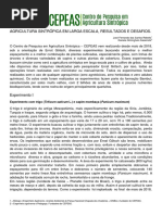 Agricultura Sintrópica Em Larga Escala-Resultados e Desafios