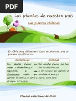 Plantas Del Norte de Chile | PDF | Hogar, jardinería y bricolaje