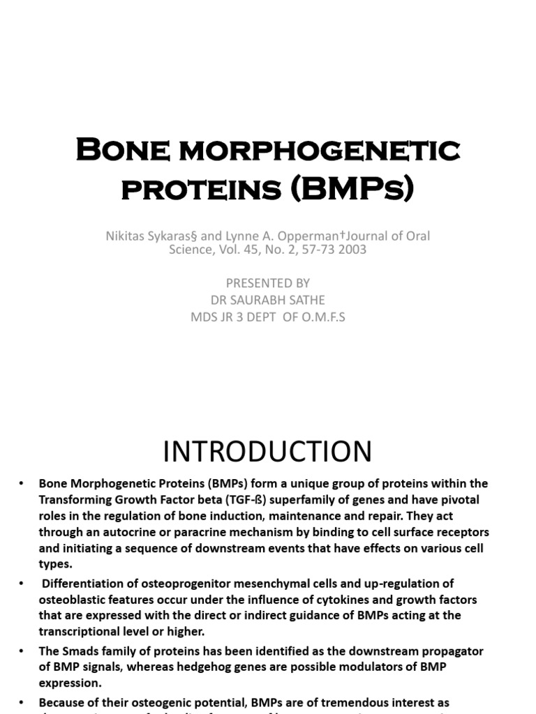 BMPs in Periodontal and Bone Healing | PDF | Bone | Osteoblast
