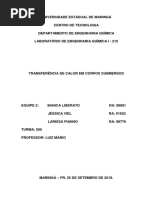 Relatorio Coeficiente de Transferencia de Calor em Corpos Submersos