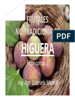 7-Cultivos Alternativos Higuera Modo de Compatibilidad