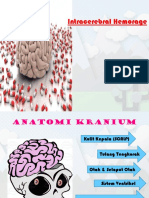 Intracerebral Hematom