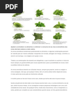 Ervas Aromáticas