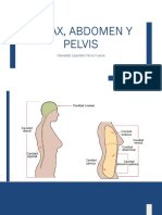 5 Tórax, Abdomen y Pelvis