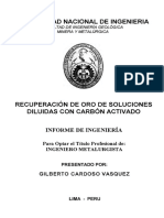 cardoso_vg.pdf