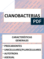 Cianobacterias