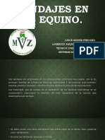 Vendajes en El Equino