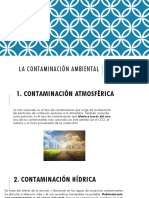 La Contaminación Ambiental