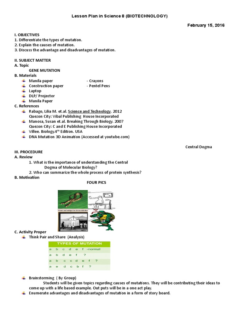 Lesson Plan (Gene Mutation) Docx PDF Mutation Gene