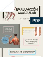 Evaluación Muscular