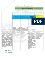 Resumen Phylum Nemertino y Platelminta