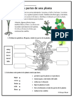 Anexo Cyt Las Partes Planta