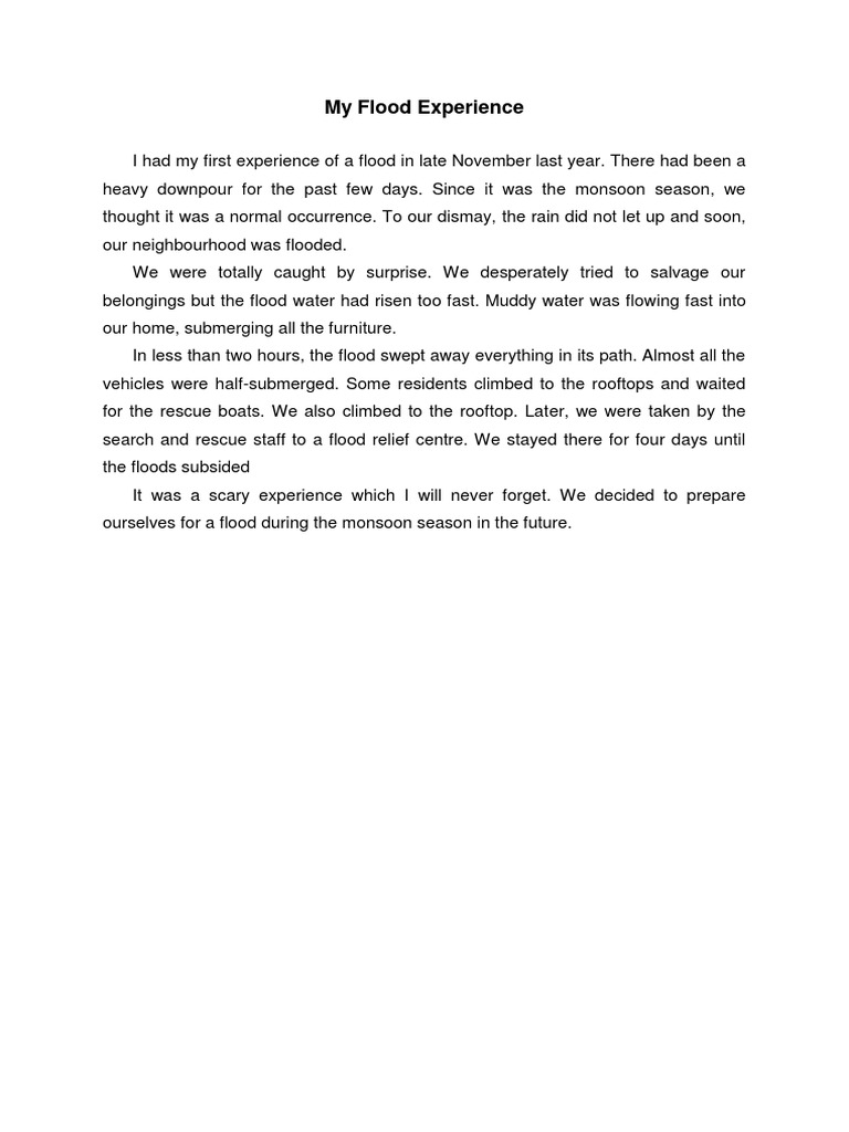 My Flood Experience Pdf