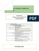 Cluster y Cefalea Trigeminoautonomicas