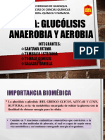 Glucolisis Aerobia y Anaerobia