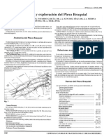 Anatomia y Exploración Del Plexo Braquial