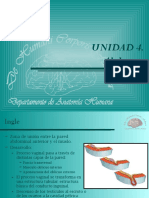 Anatomiacanalinguinal 120528212927 Phpapp02 PDF
