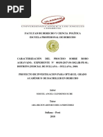 Prototipo Penal