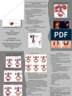 Pkmrs - Kelainan Bawaan Ginjual Dan Saluran Kemih - Cempaka Nur Islamiati
