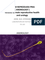 Sistem Reproduksi Pria (Andrology) Related To Male Reproductive Health and Urology