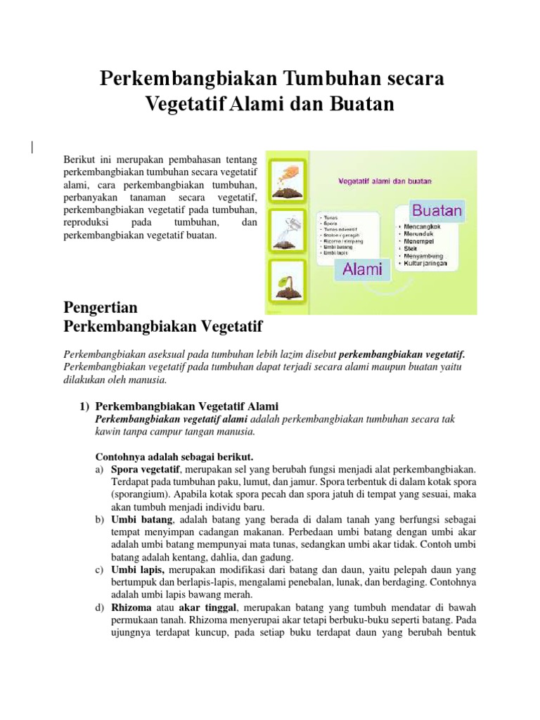Perkembangbiakan Tumbuhan Secara Vegetatif Alami Dan Buatan