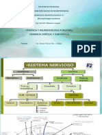 Diapositivas Demencias Cortical y Subcortical