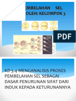 Media Pembelajaran-Ppt Kd. Pembelahan Sel-Klp 3-Haf