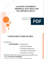 Anatomy of Dermo-Epidermal Junction and Its Applied Aspect