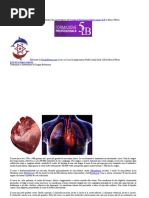Il Cuore.docx
