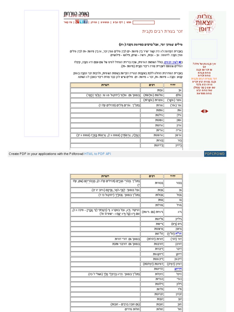 Irregular Hebrew Plurals PDF
