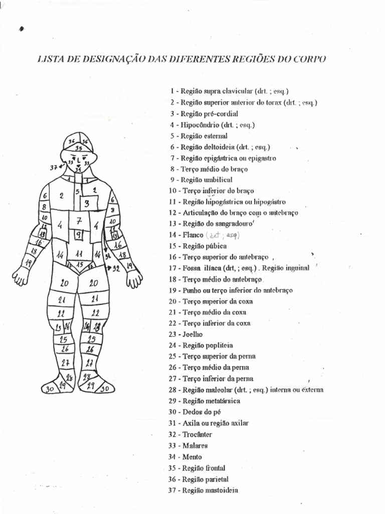 Regiões do Corpo Humano