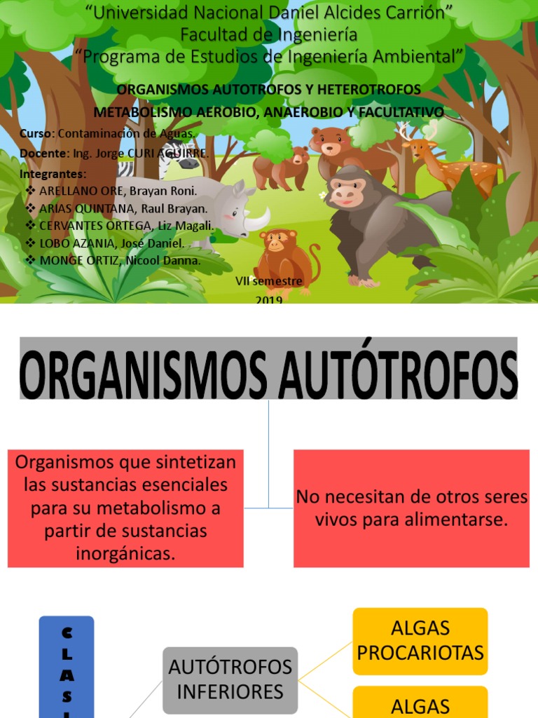 Organismos Autotrofos y Heterotrofos | PDF | Algas | Metabolismo