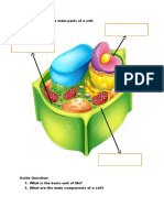 Worksheet in Animal and Plant cell.docx