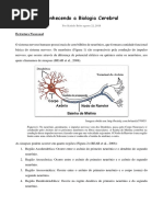 Conhecendo a Biologia Cerebral