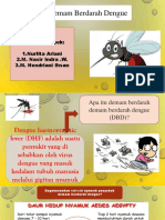 dhf ppt