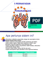 Sistem Pernafasan Manusia