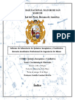 Informe de Crecimiento de Minerales