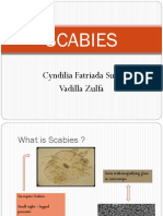 Scabies: Cyndilia Fatriada Suci Vadilla Zulfa