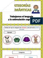 Categorias-semanticas.pdf