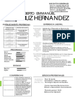 c.v. Cruz Hernandez Heriberto Emmanuel