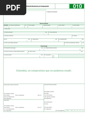 Formato 010 dian 2019 excel