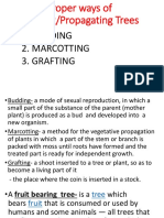 Proper Ways of Planting/Propagating Trees: 1. Budding 2. Marcotting 3. Grafting